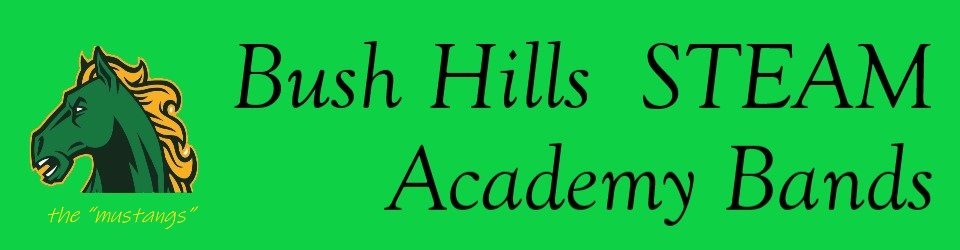 Bush Hills STEAM Academy Bands